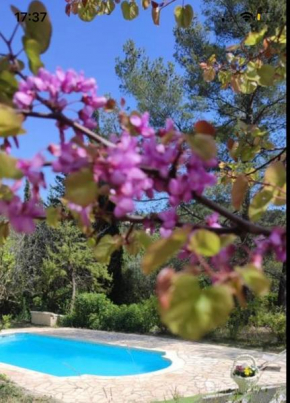 Charmant deux-pièces dans villa avec piscine privée